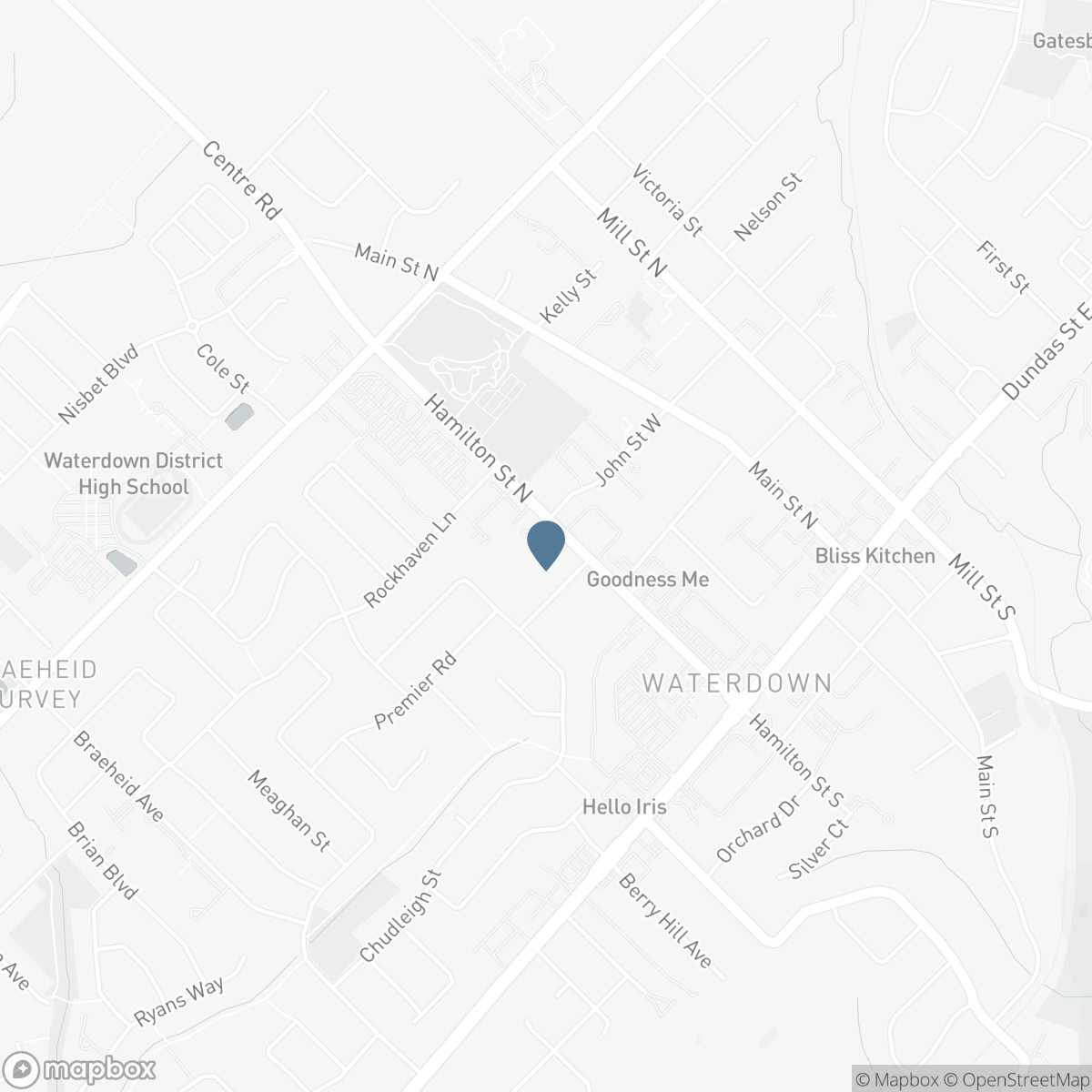 81 HAMILTON STREET N, Hamilton, Ontario L0R 2H0